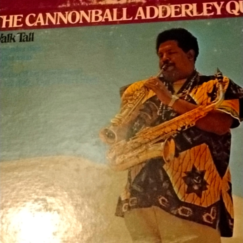 Vintage record